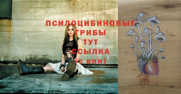 амф Бронницы