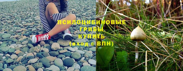синтетический гашиш Богородск
