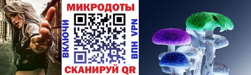 закладки Десногорск Галлюциногенные грибы MAGIC MUSHROOMS